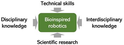 Bridging the gap: bioinspired robotics as catalyst for interdisciplinary education